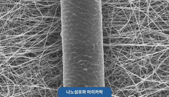 나노섬유와 머리카락